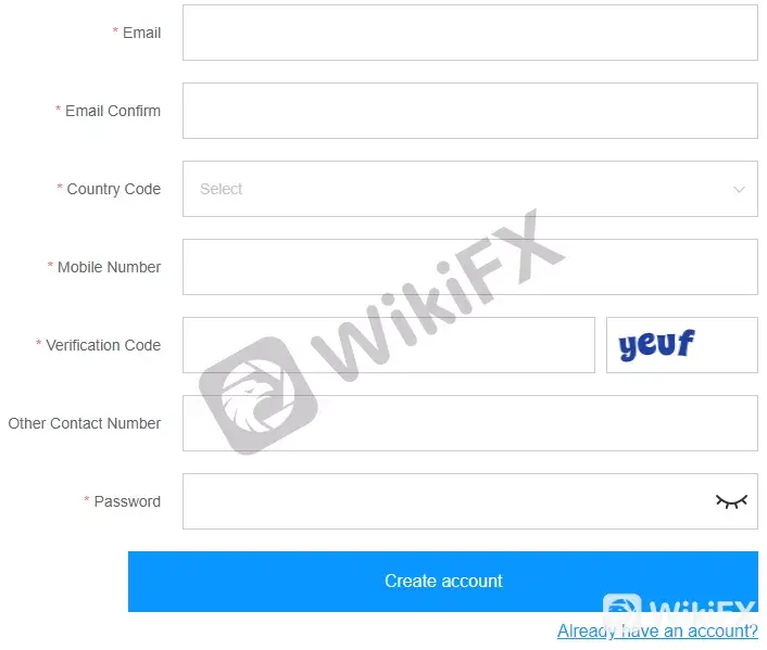ZFX