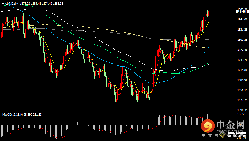汉声张新才:[1月12日早评]昨晚金价高位跳水回落，今早金价上涨修复失地