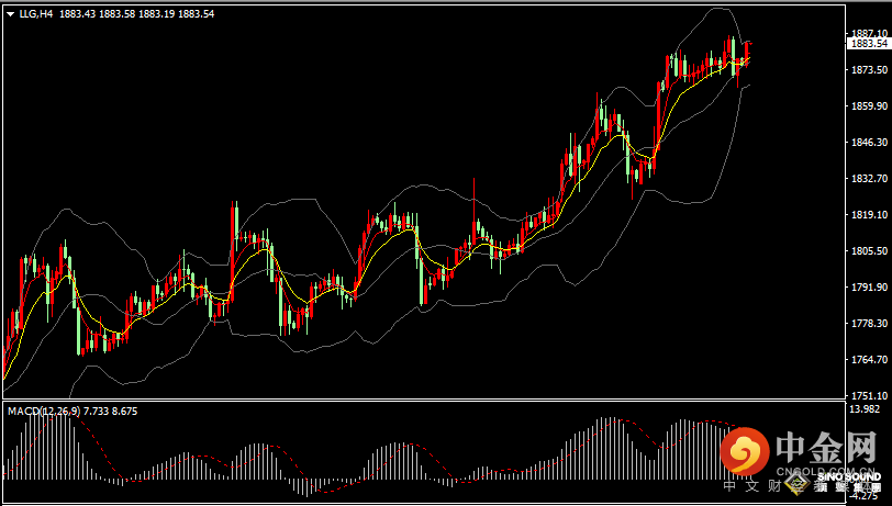 汉声张新才:[1月12日早评]昨晚金价高位跳水回落，今早金价上涨修复失地