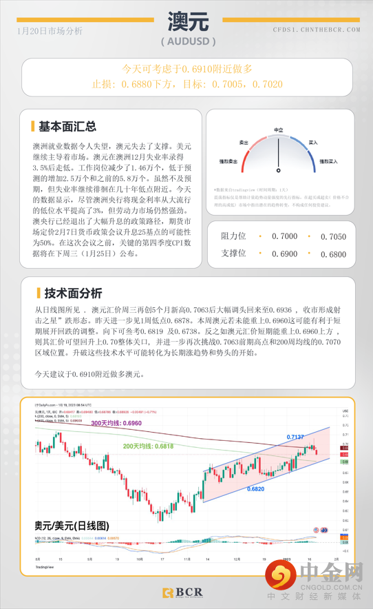 每日分析模板 
