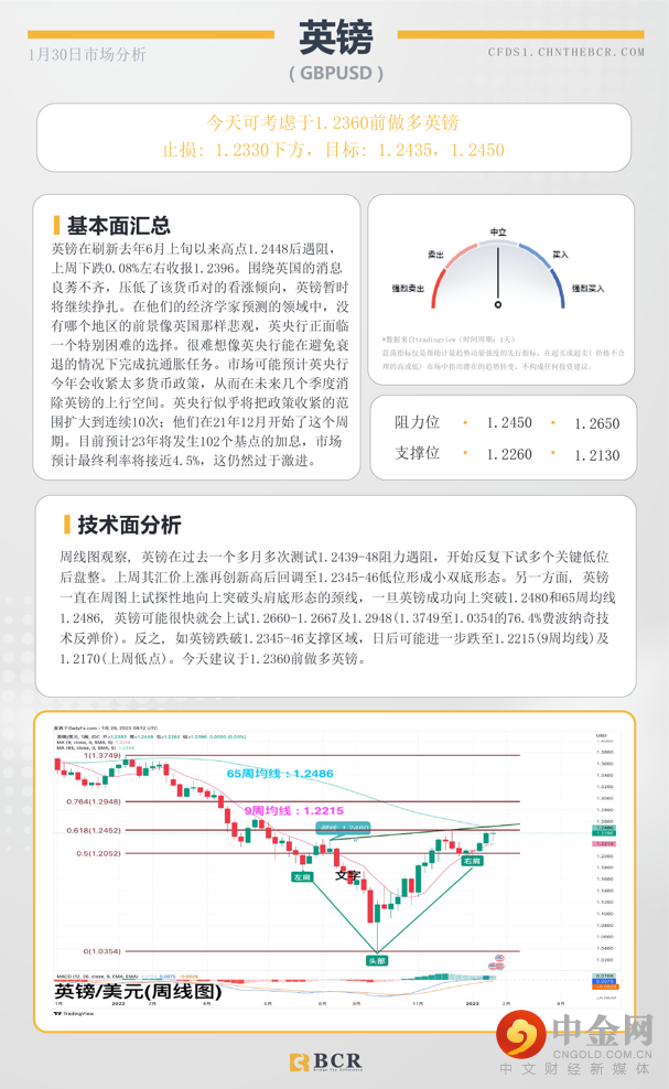 每日分析模板 