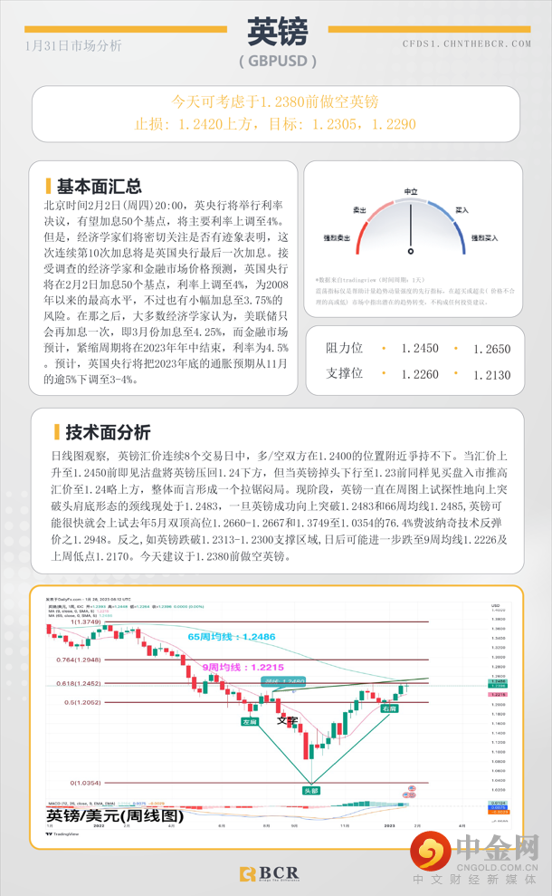 每日分析模板 