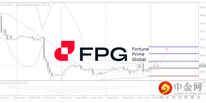 今日分析WebsitePost 