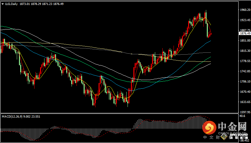 汉声张新才:[2月8日早评]昨晚鲍威尔讲话令市场巨震，现货黄金最终收涨0.34%
