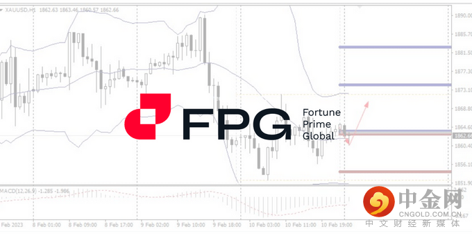 今日分析WebsitePost 