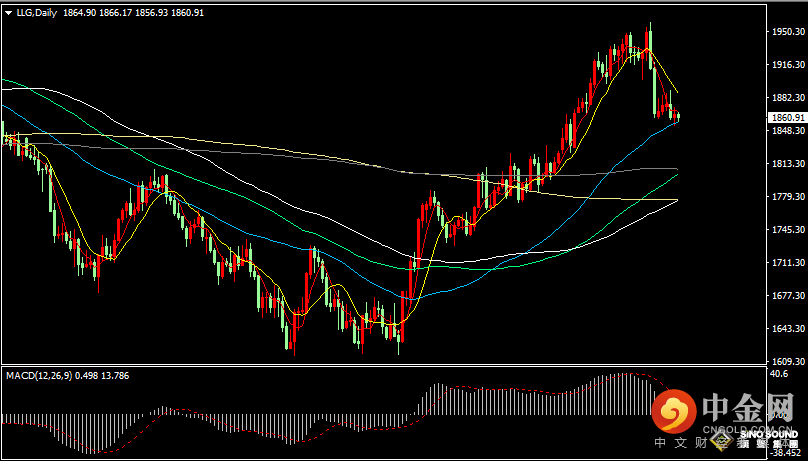 汉声张新才:[2月13日晚评]美联储加息预期高企，国际金价持续承压