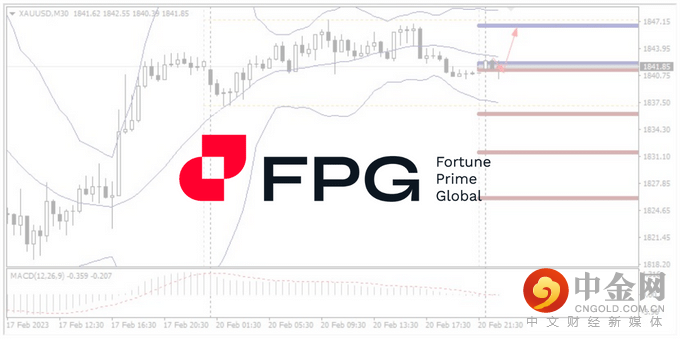 今日分析WebsitePost 