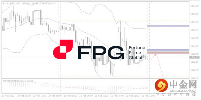 今日分析WebsitePost 