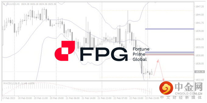 今日分析WebsitePost 