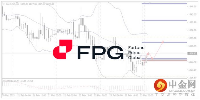 今日分析WebsitePost 