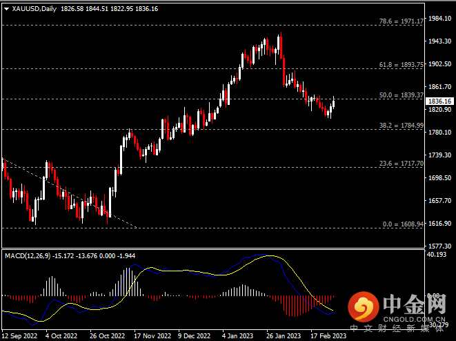 20230302-9.png