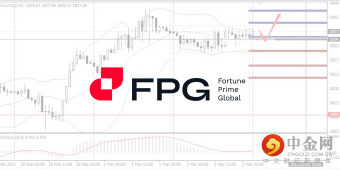 今日分析WebsitePost 