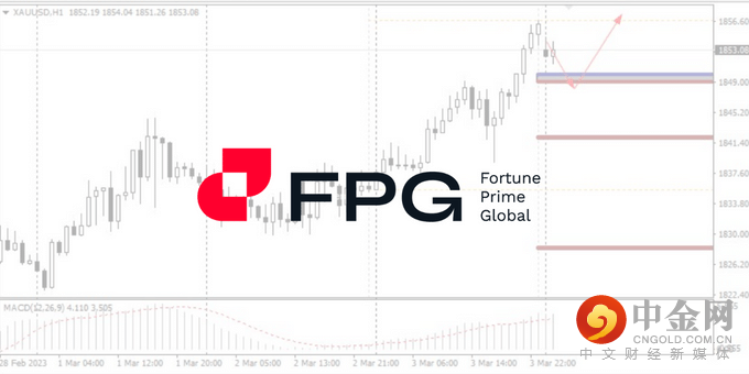 今日分析WebsitePost 