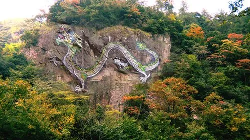 图片1.jpg 图片1.jpg