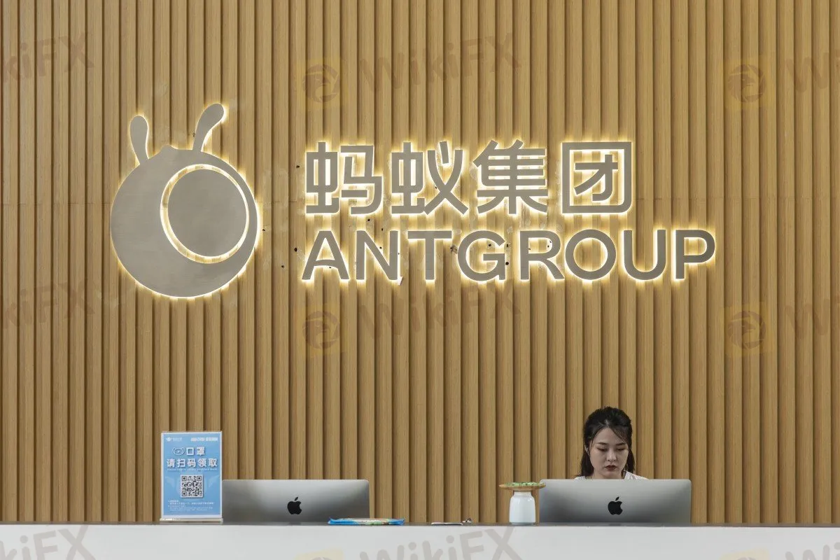 Ant