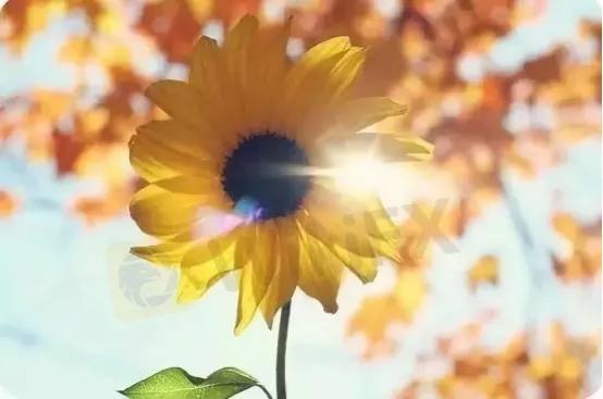 image.png image.png