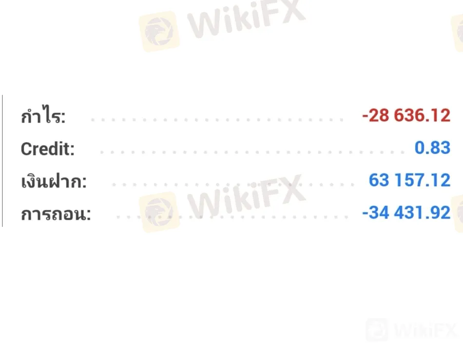 Screen Screen