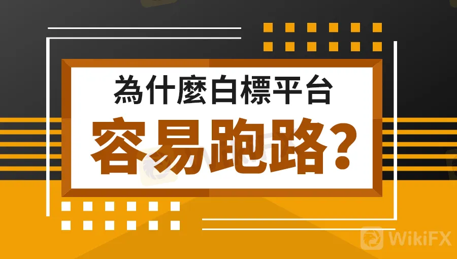 為什麼白標平台容易跑路.jpg 為什麼白標平台容易跑路.jpg