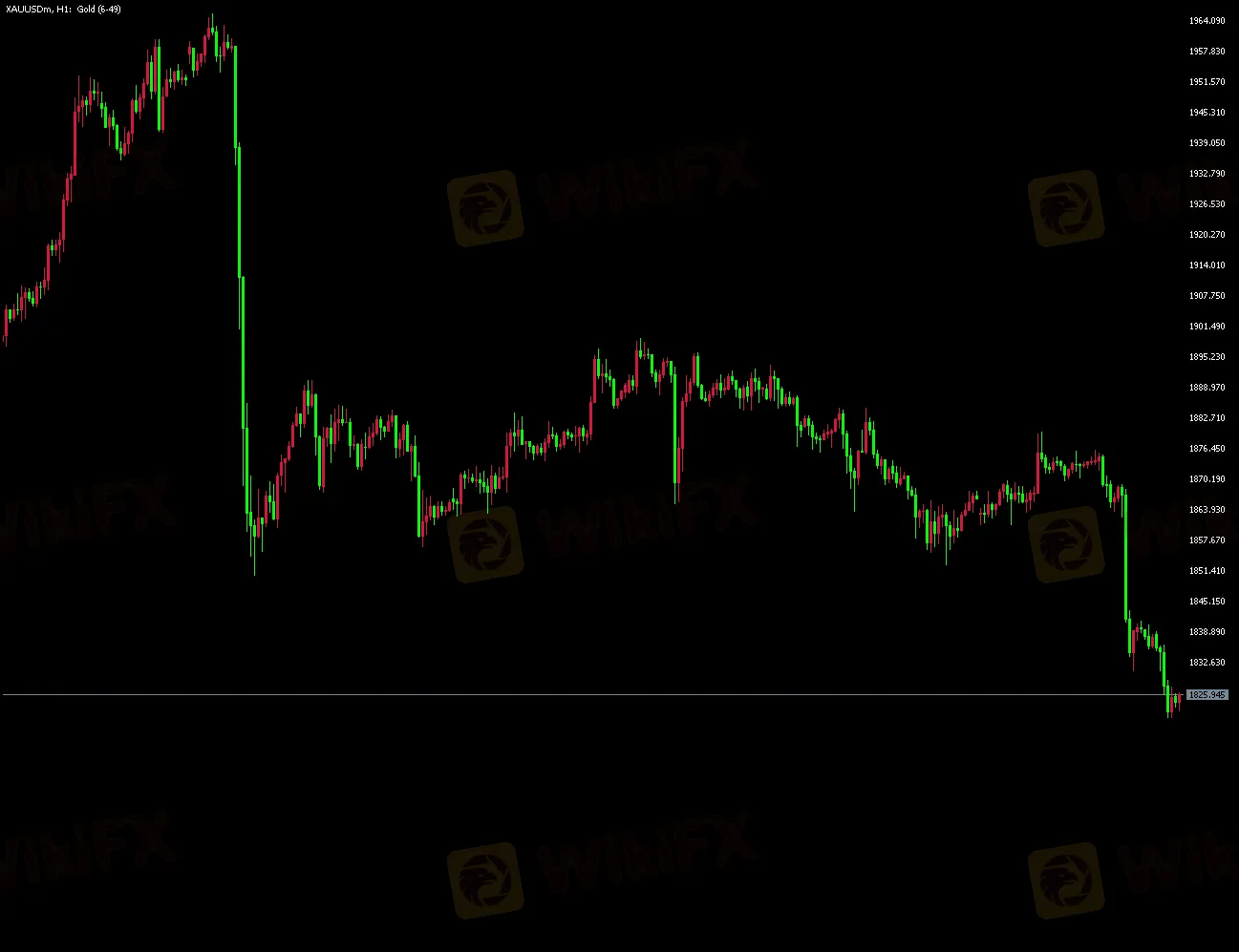 1.png 1.png