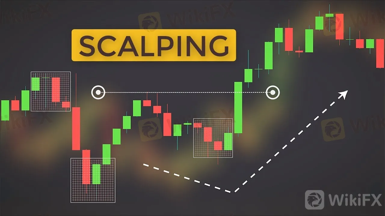 行业 正文  scalpers live life in the fast lane.