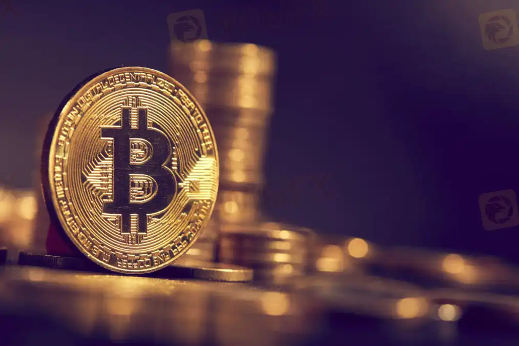 bitcoin-cryptocurrencies-perfect-hedge-covid-19-crisis.jpeg bitcoin-cryptocurrencies-perfect-hedge-covid-19-crisis.jpeg
