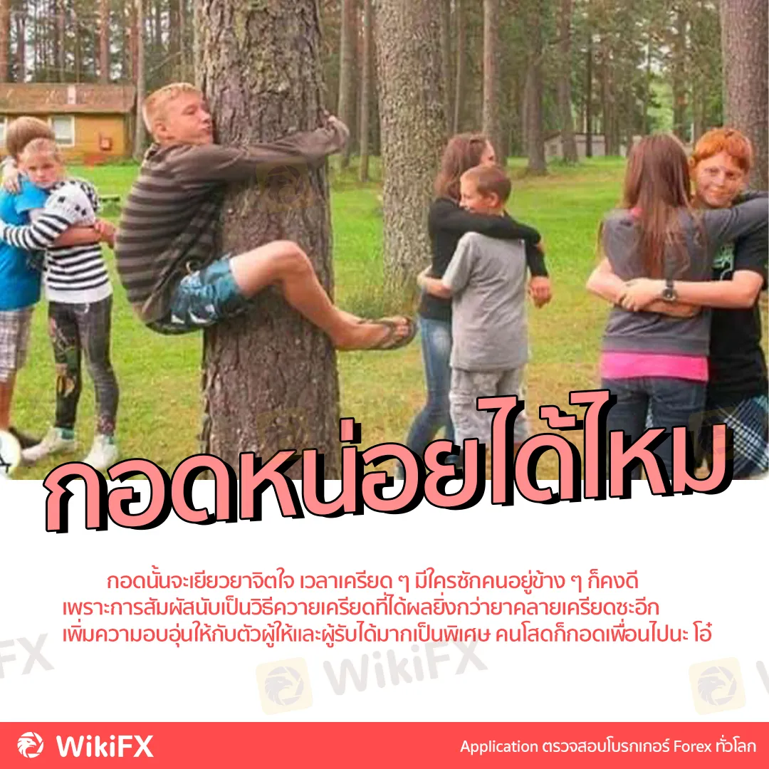 แก้พอร์ต forex