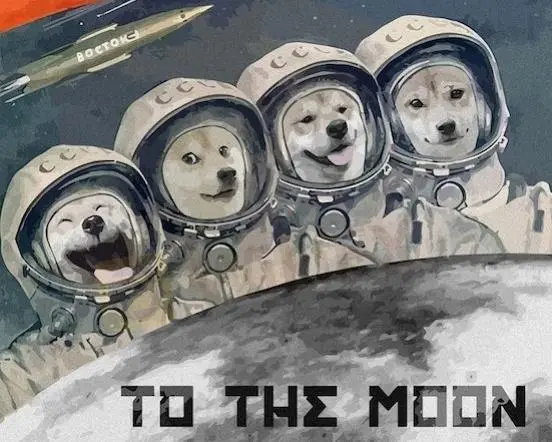 dddd.jpg dddd.jpg