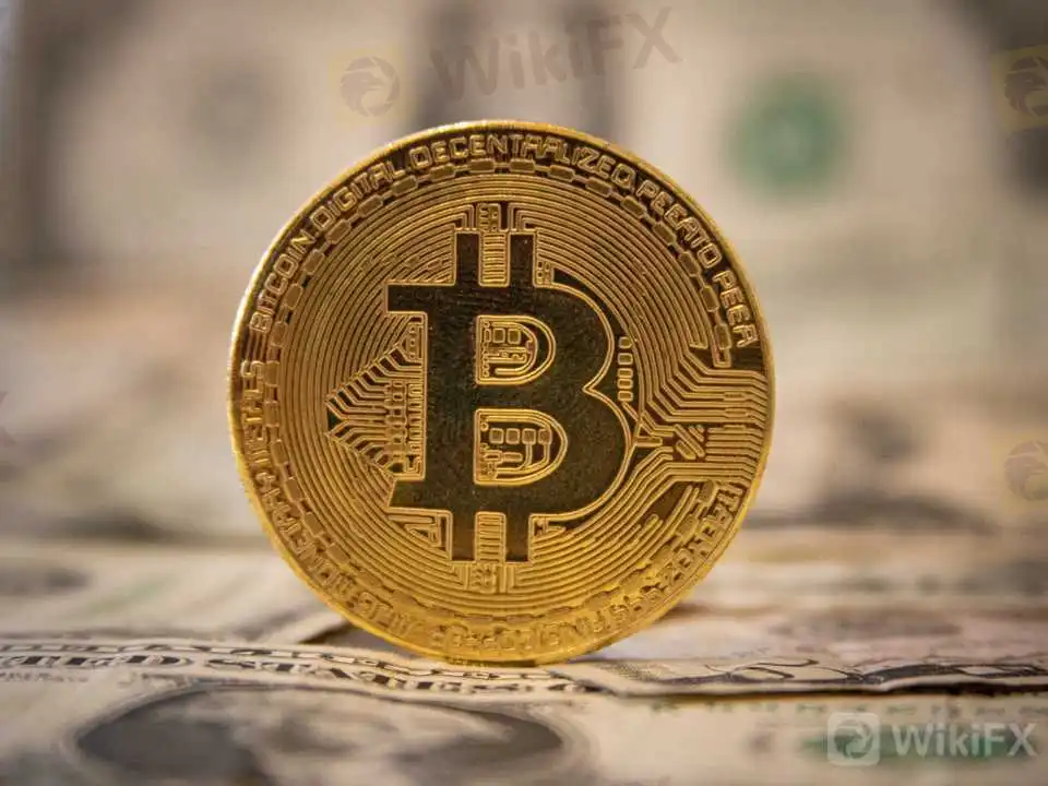 Advertisement ビットコイン支払いに続々参入