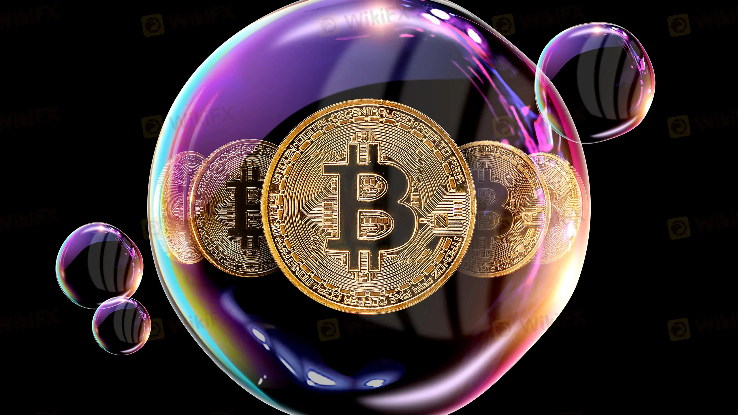 Rovereto, capitale italiana del Bitcoin: «Ma ora non tira più come prima»