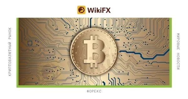 bitcoin bitcoin