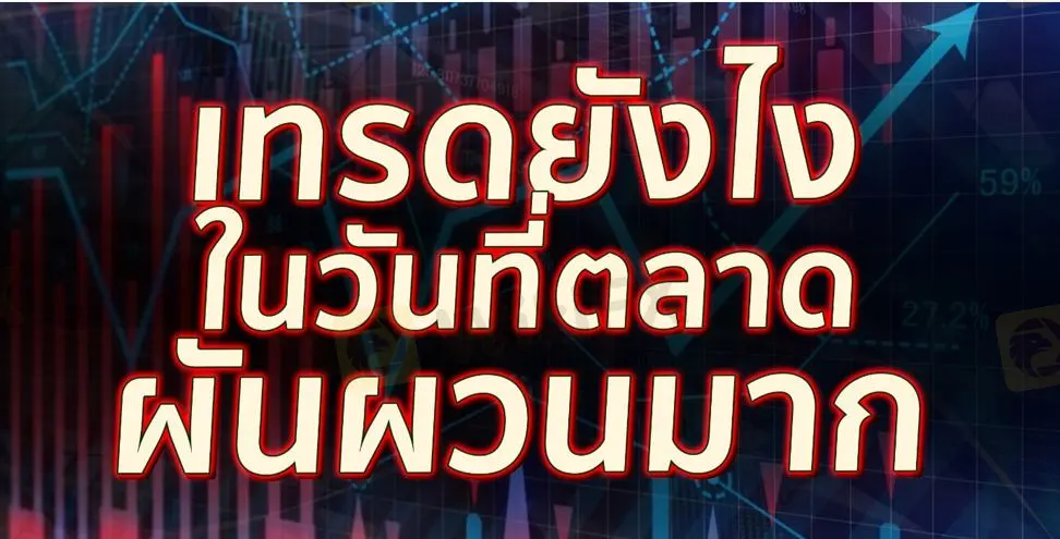 1.png 1.png