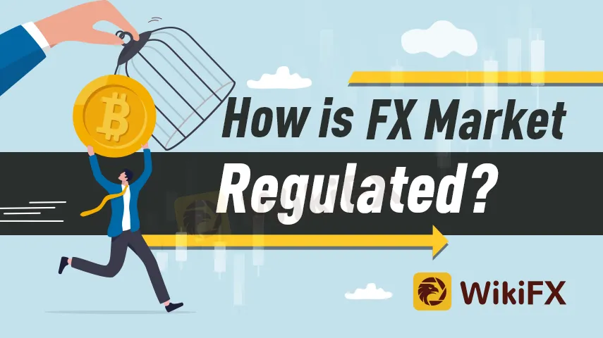 How is Forex Market Regulated? - WikiFX