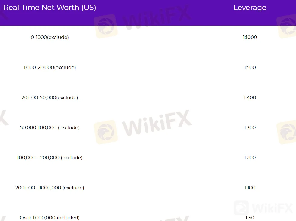 leverage leverage