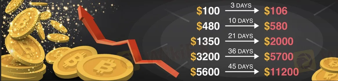 USdminer