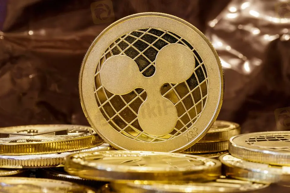 XRP XRP