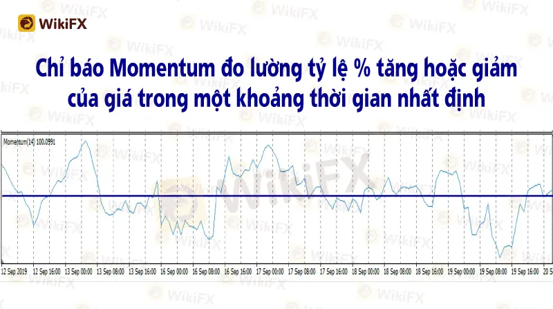 Kien-thuc-can-ban--Oct-18-2.jpg Kien-thuc-can-ban--Oct-18-2.jpg