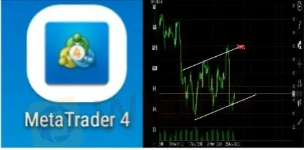 Understanding Forex Trading: A beginner's guide. - WikiFX