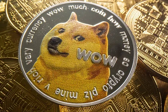 dogecoin_800x533_L_1637446667.jpeg dogecoin_800x533_L_1637446667.jpeg