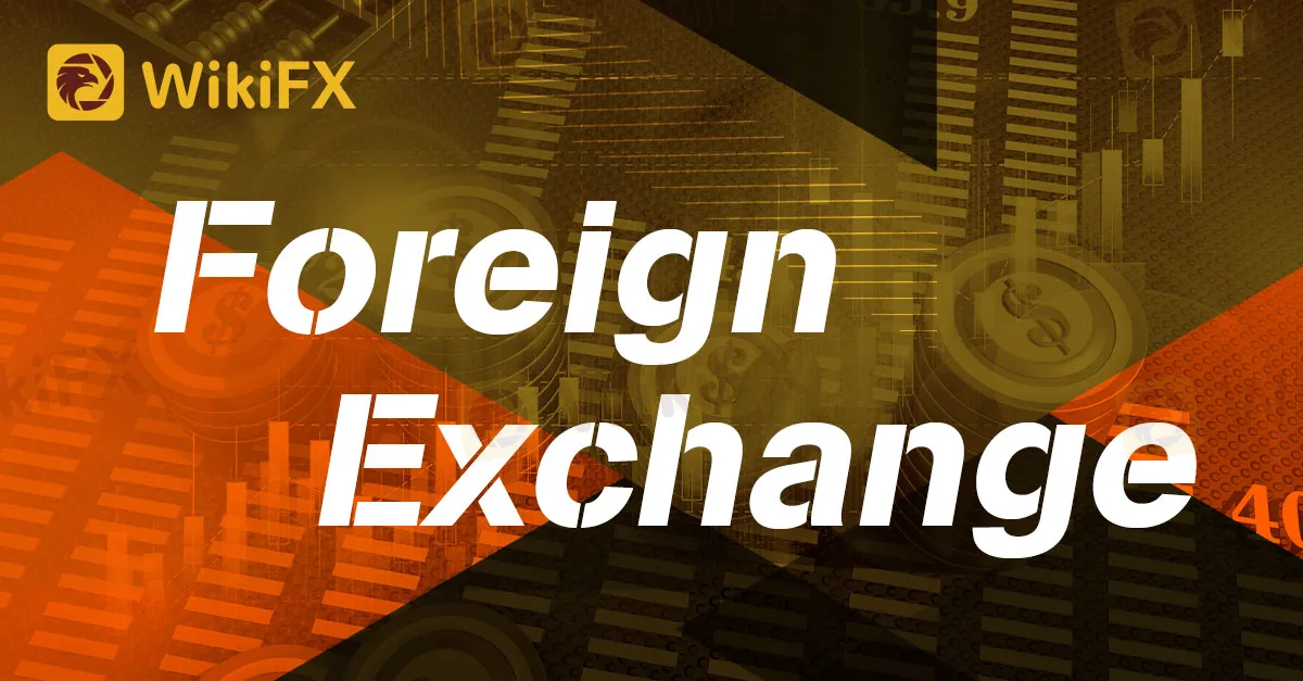 十大外汇排行 Top ten foreign exchange rankings 专业外汇交易平台 Professional foreign exchange trading platform