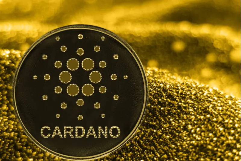 Blockchain Firm BTCS Offers Dividend Payable in Bitcoin - Wikifx