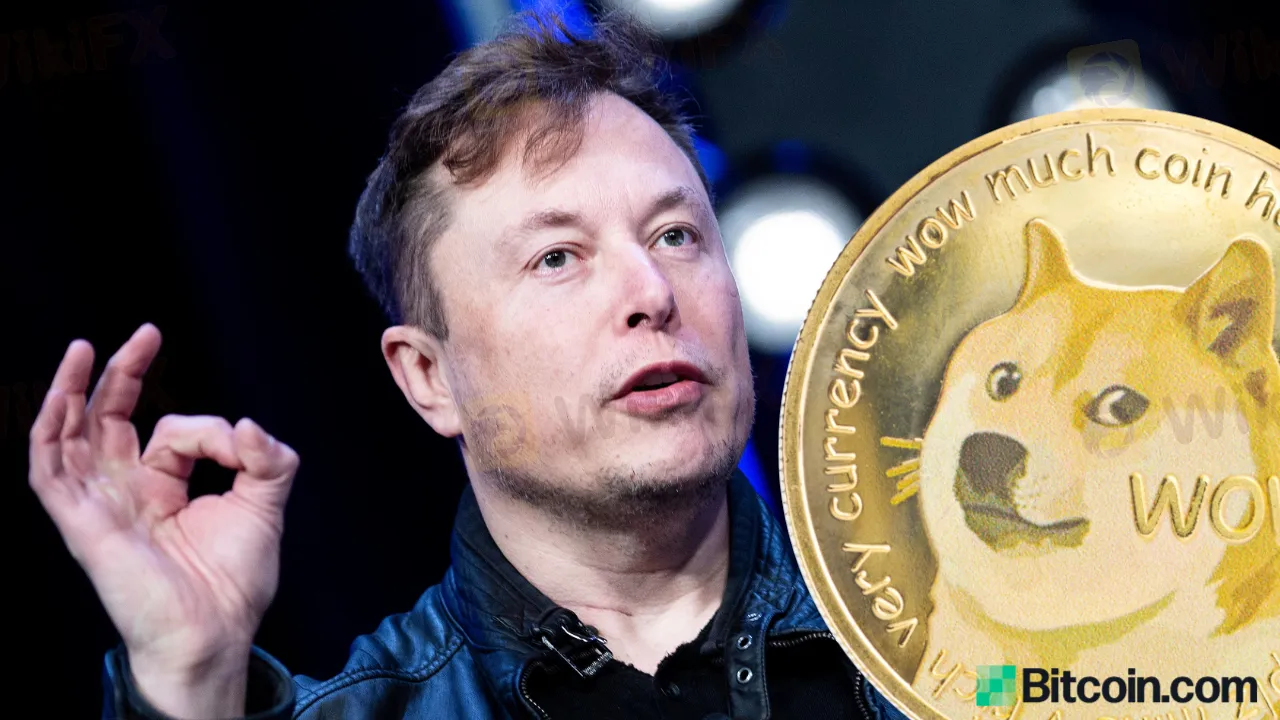 elon-not-sell-doge.jpg elon-not-sell-doge.jpg