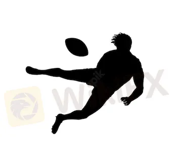 WikiFX, WikiFX,