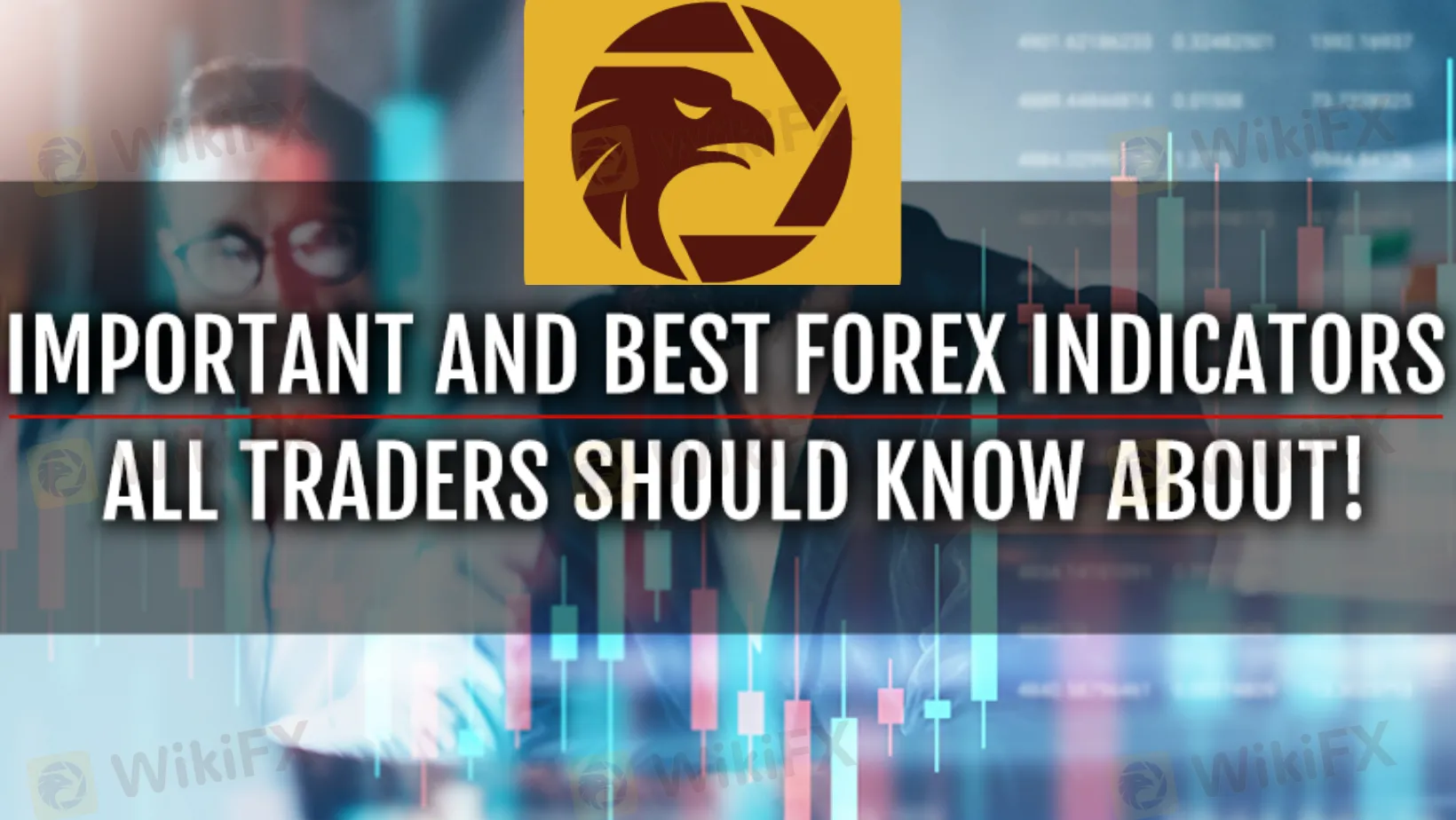 forex forex