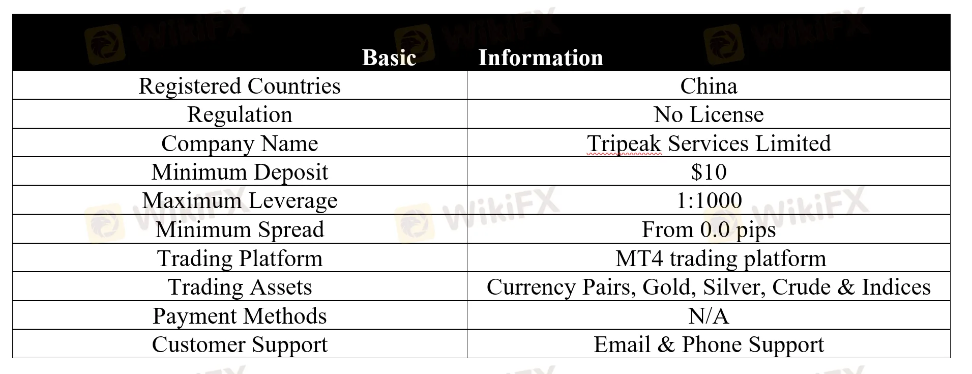 basic-info