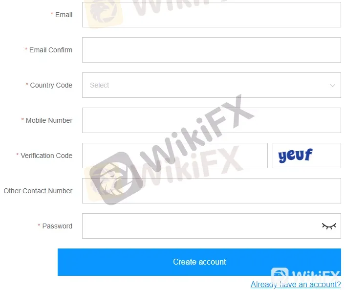 ZFX