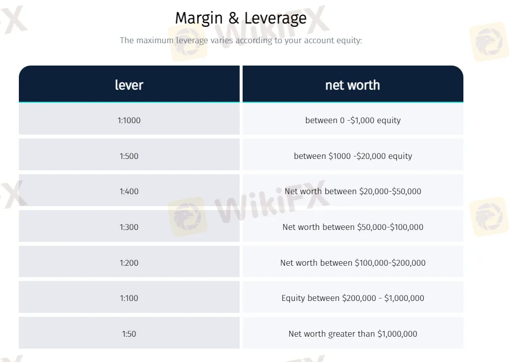 leverage leverage