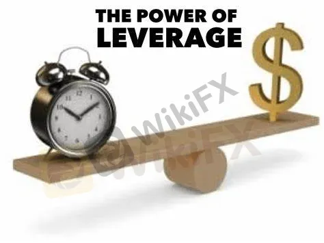 maximum leverage