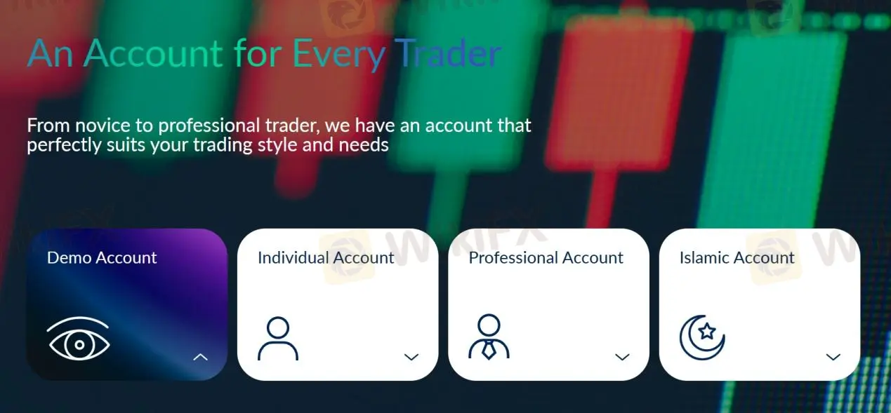 Account Types Account Types