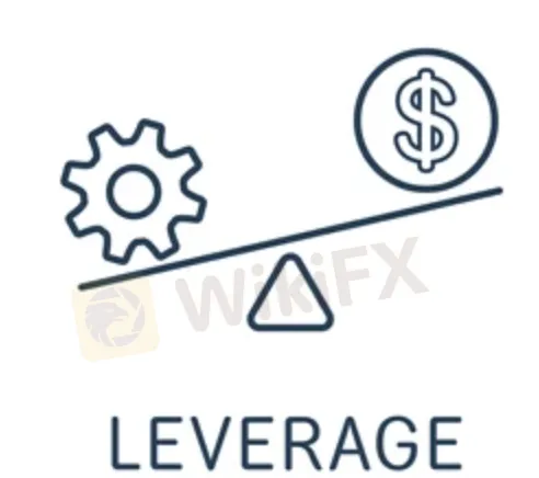 leverage leverage