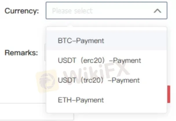 cryptocurrency payment